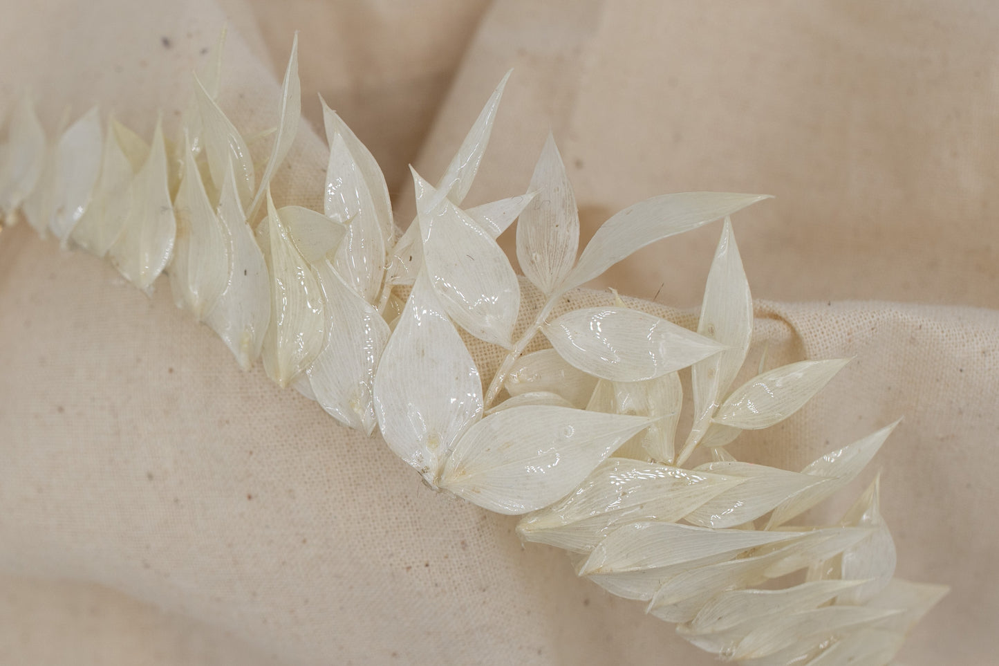 Diadème composé de fleurs d'hortensia blanches stabilisées et cristallisées à la résine