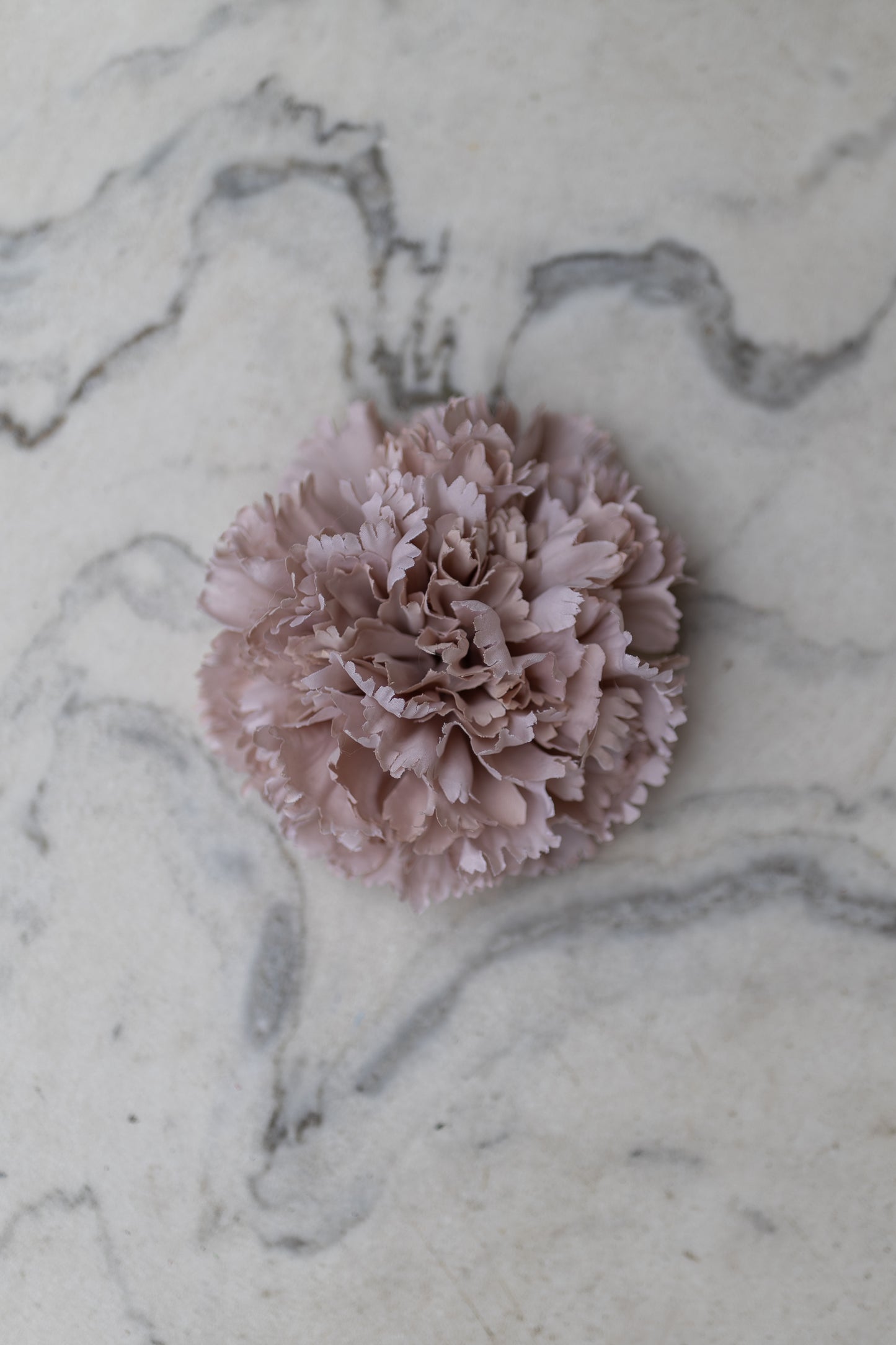 Pince Cadix Belle Époque