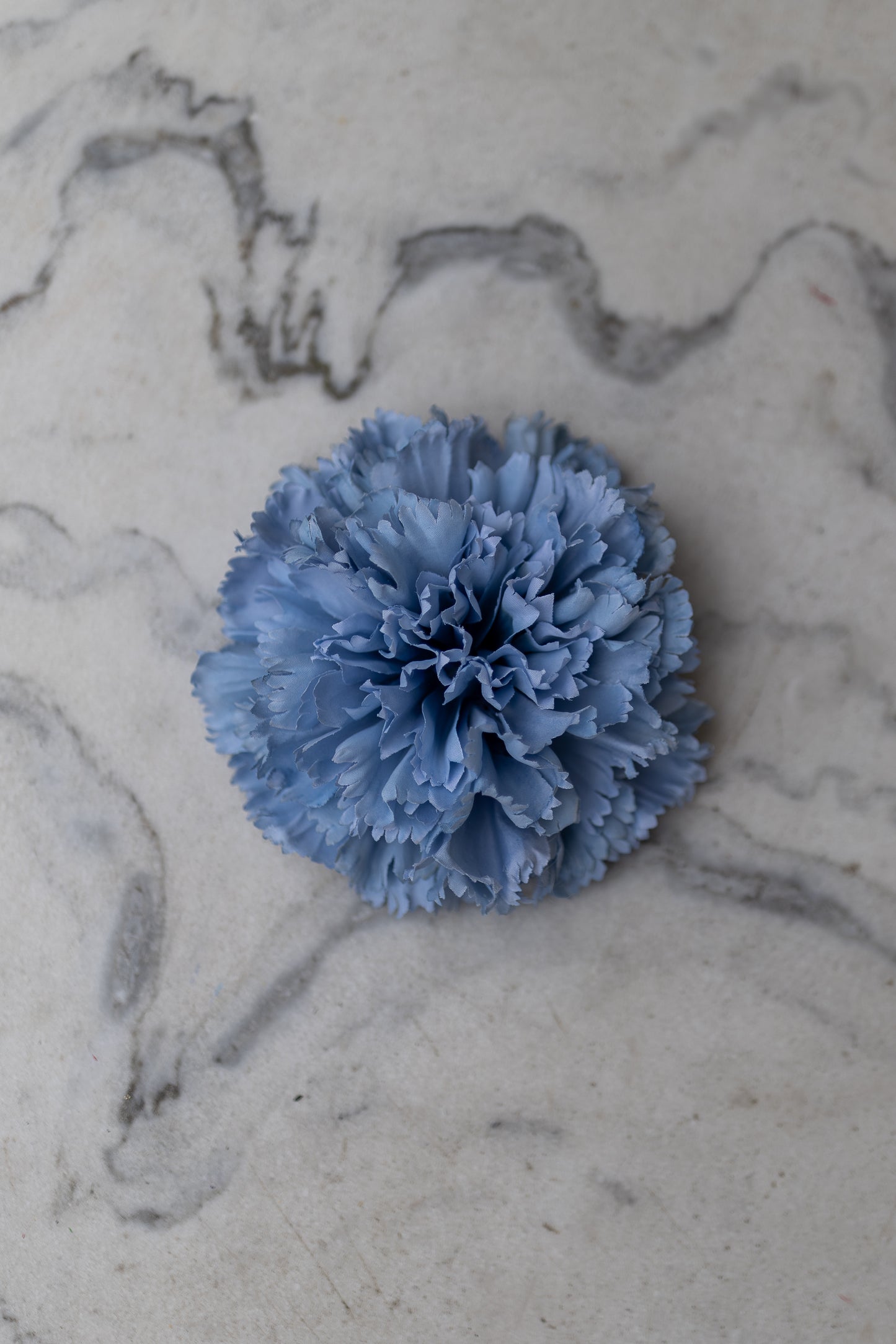 Pince Cadix Belle Époque