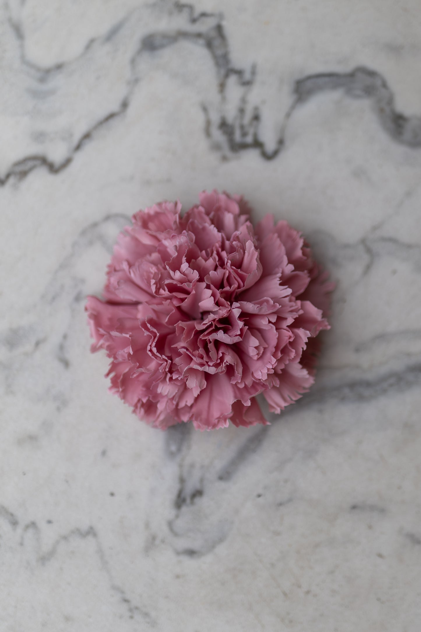 Pince Cadix Belle Époque