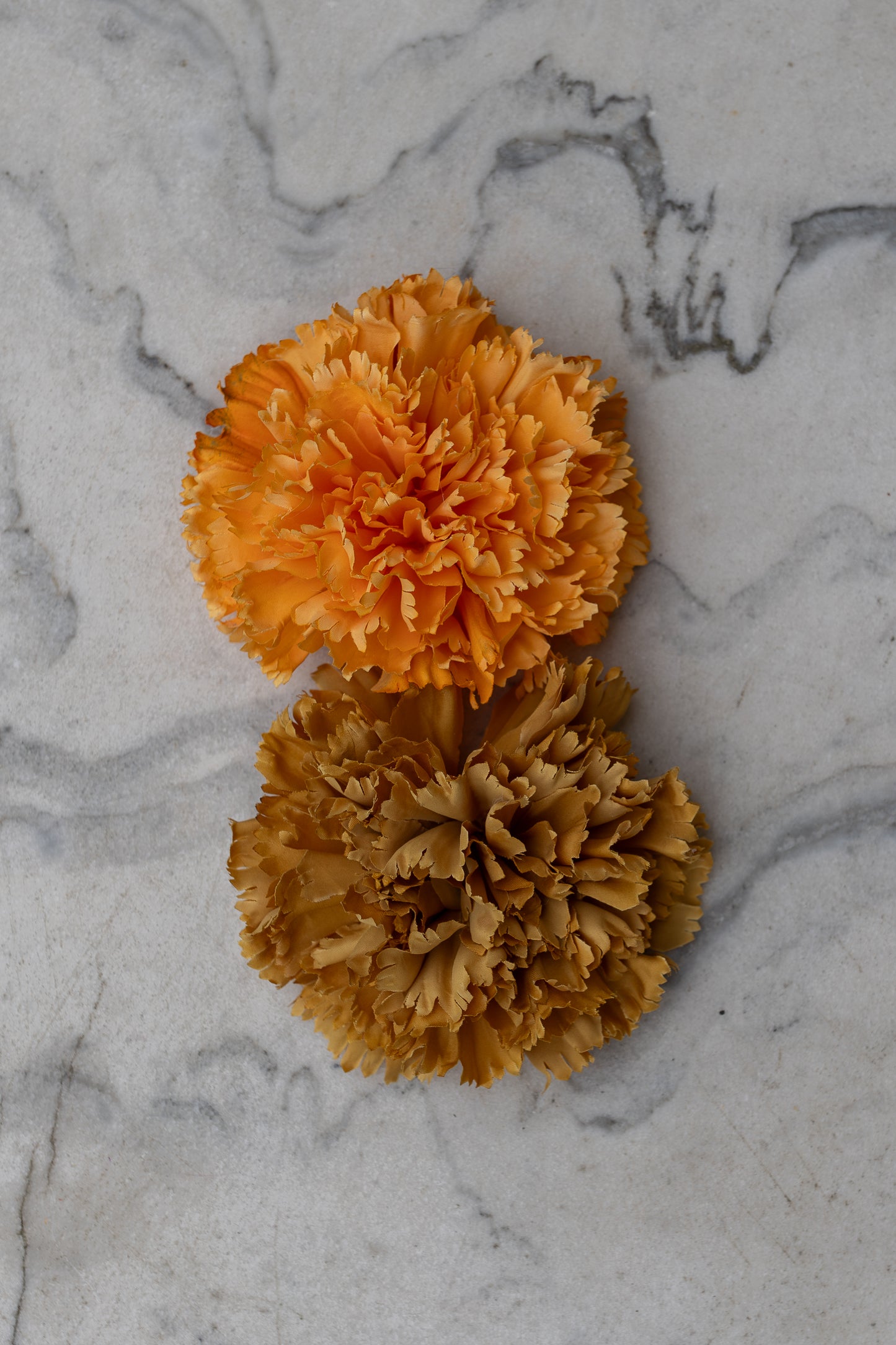 Pince Cadix Belle Époque