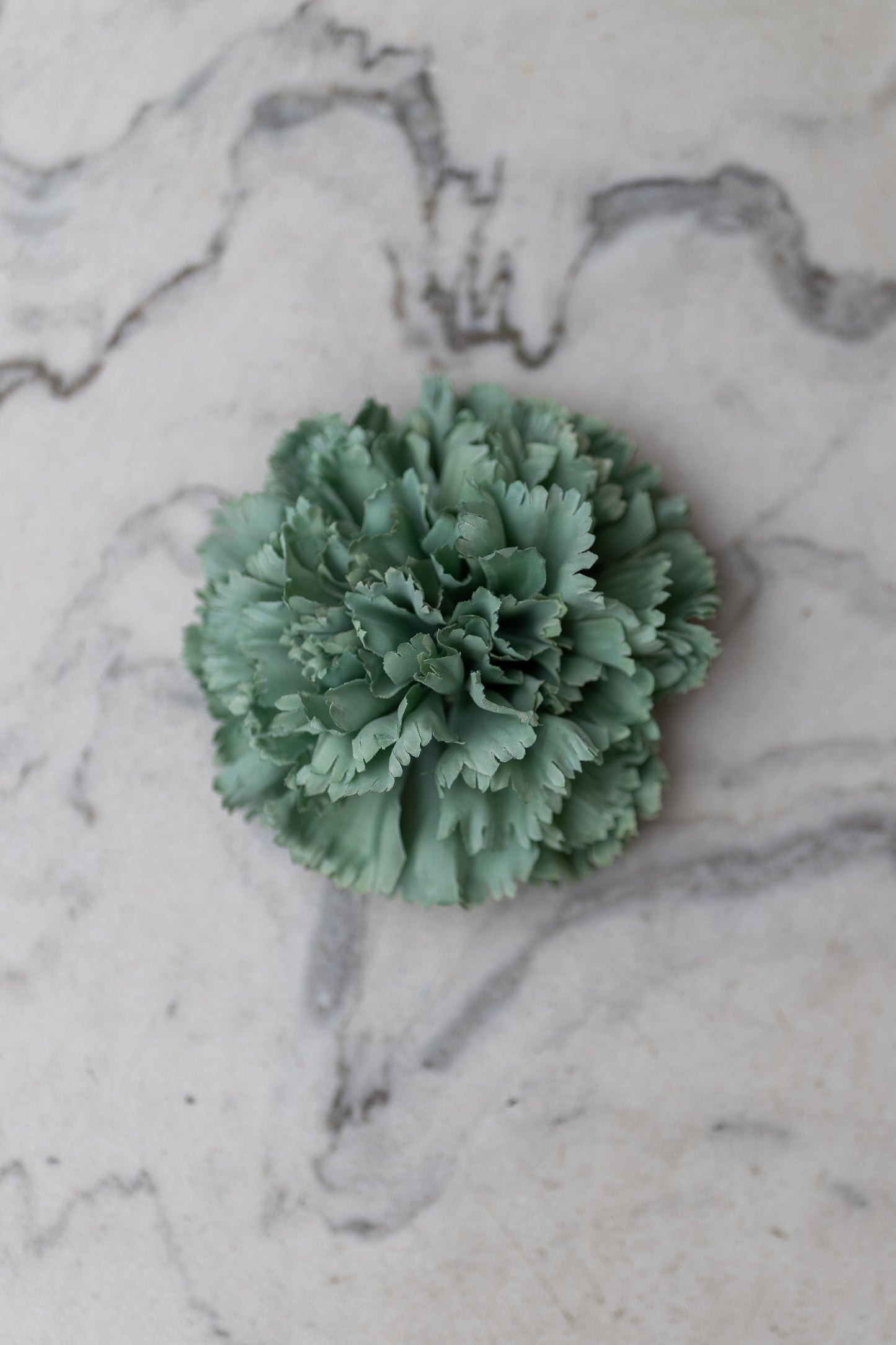 Pince Cadix Belle Époque