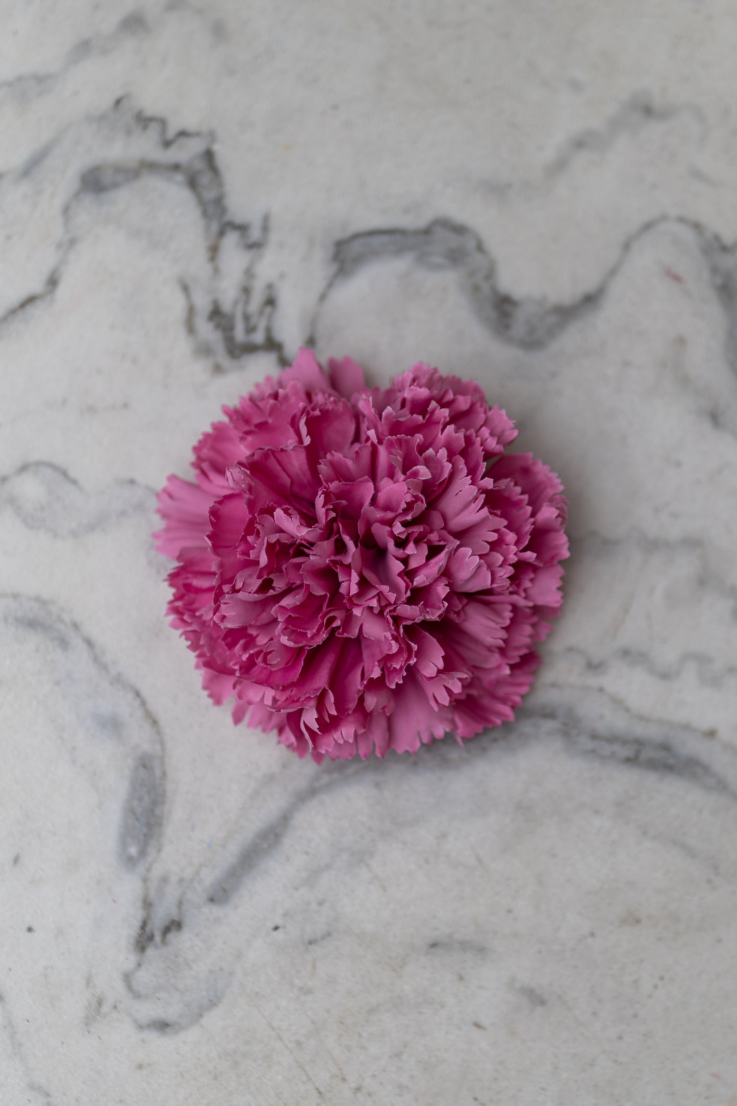 Pince Cadix Belle Époque