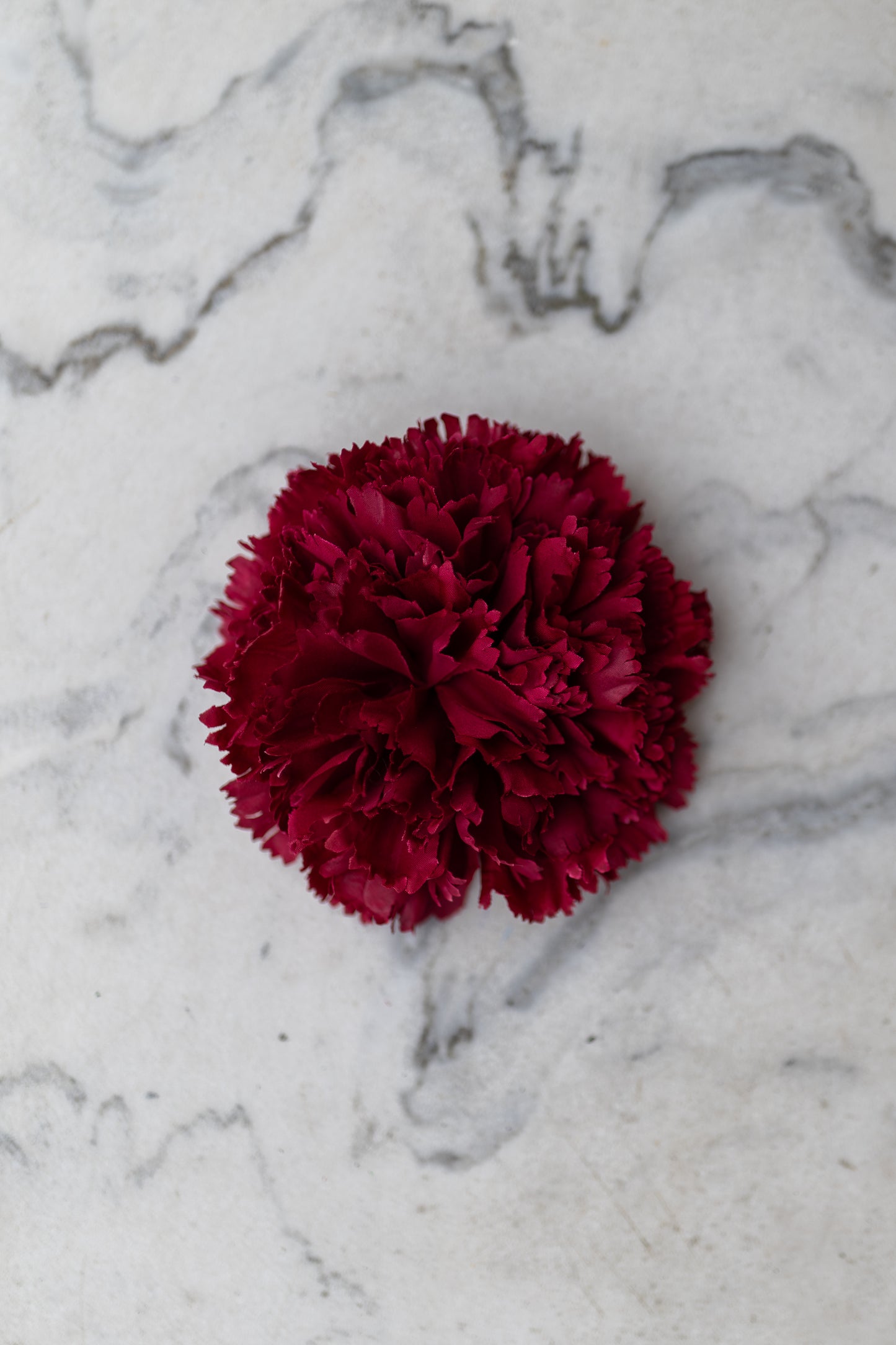 Pince Cadix Belle Époque