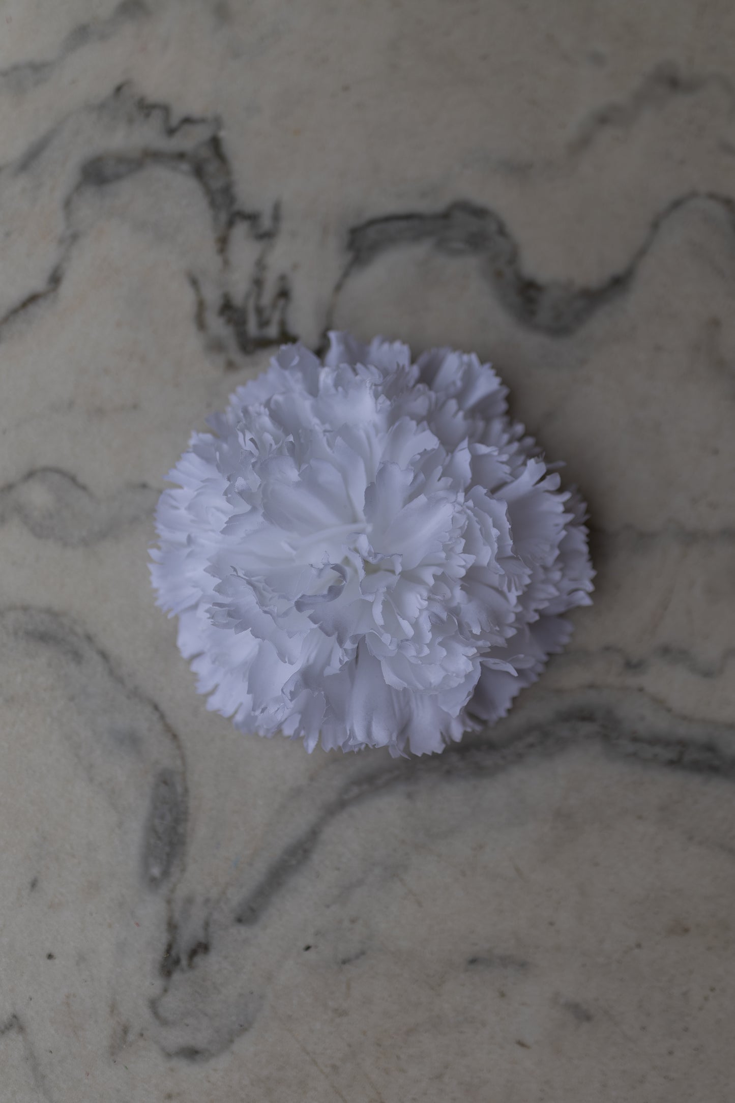 Pince Cadix Belle Époque