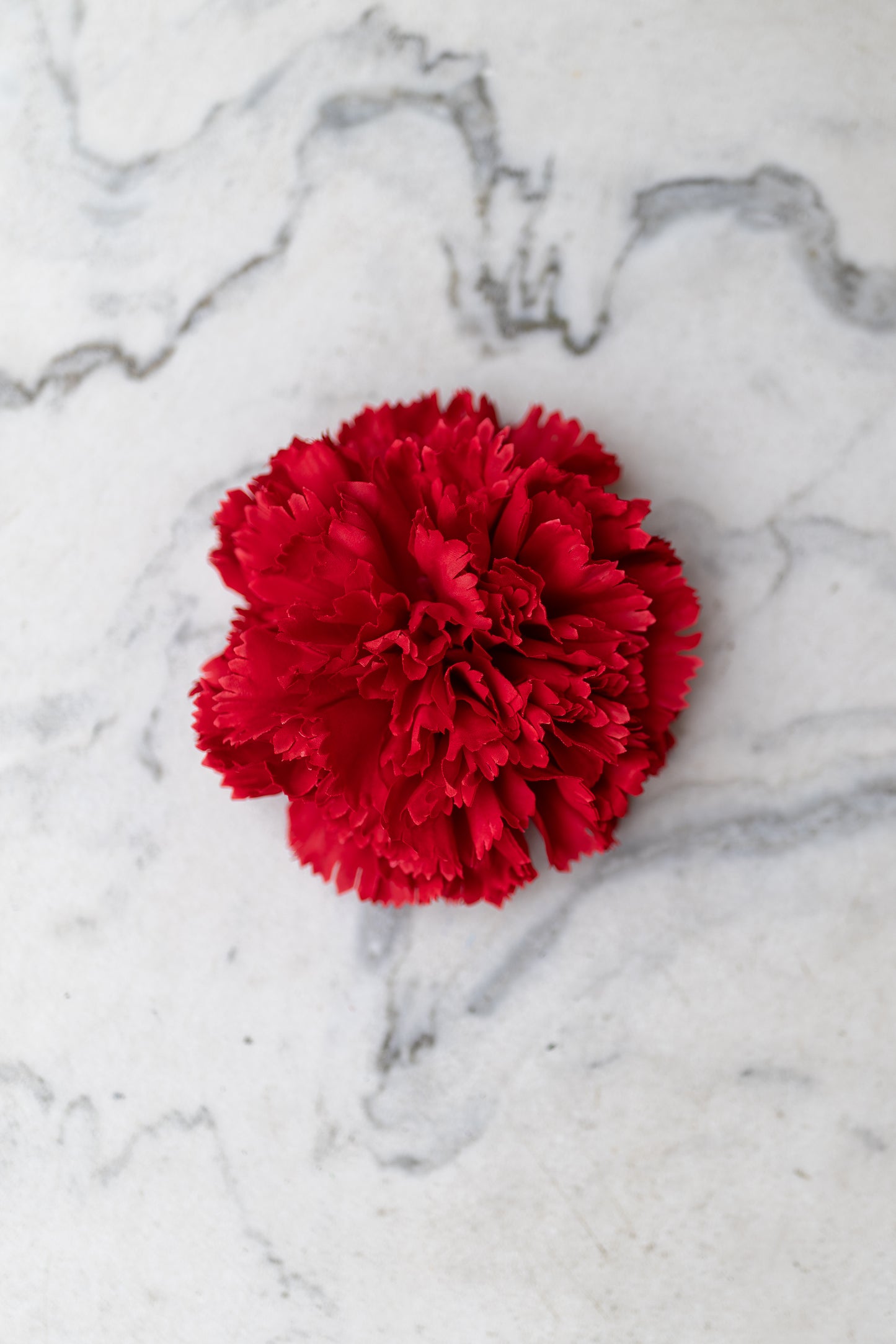 Pince Cadix Belle Époque