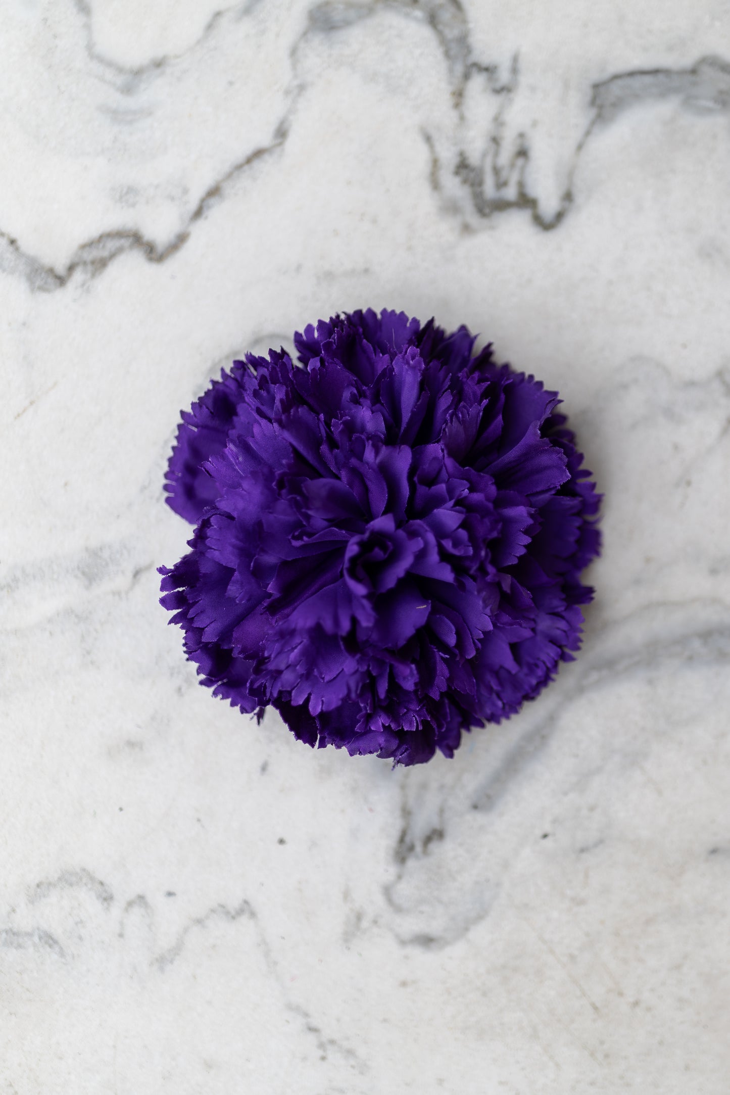 Pince Cadix Belle Époque