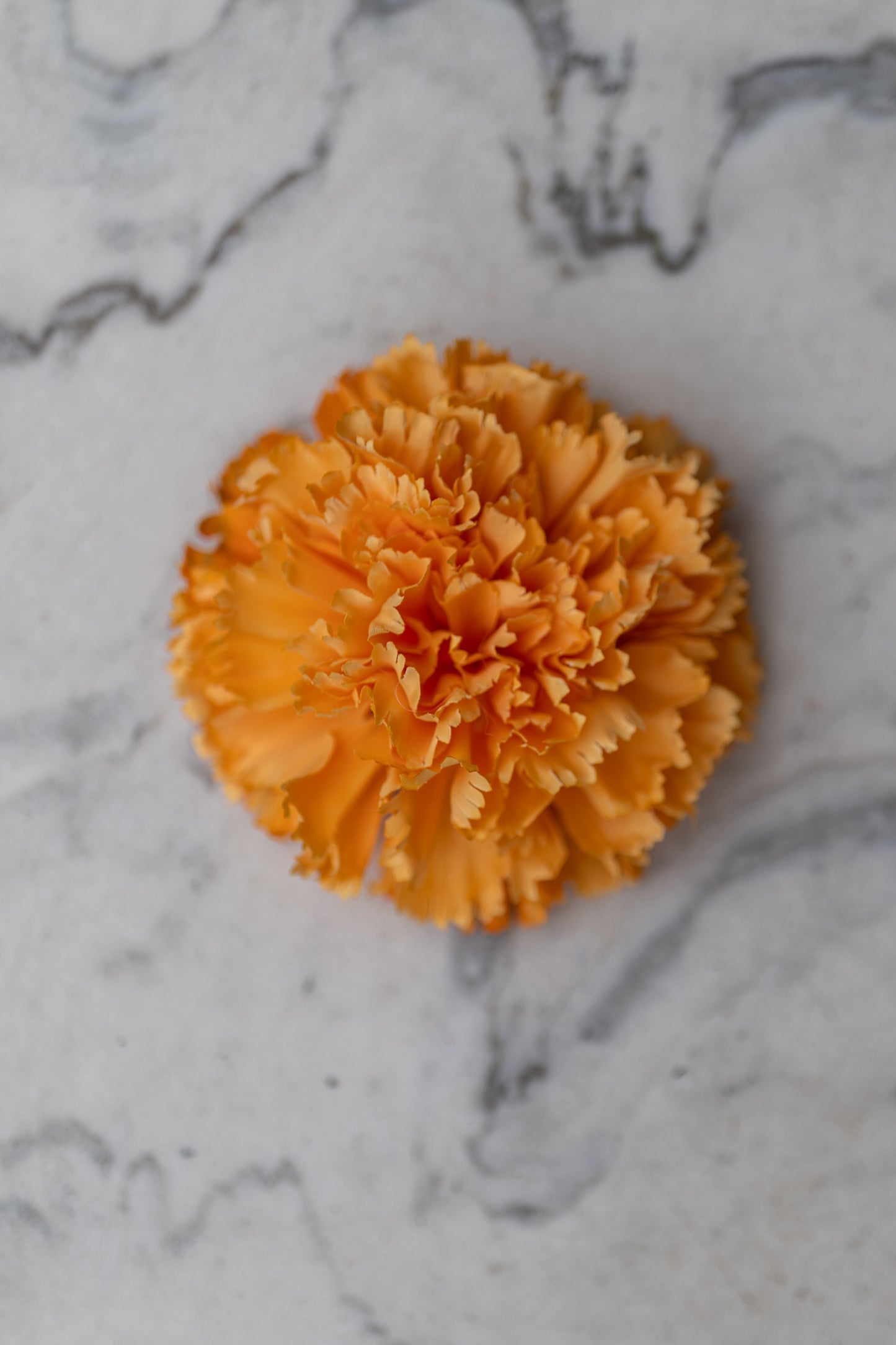 Pince Cadix Belle Époque