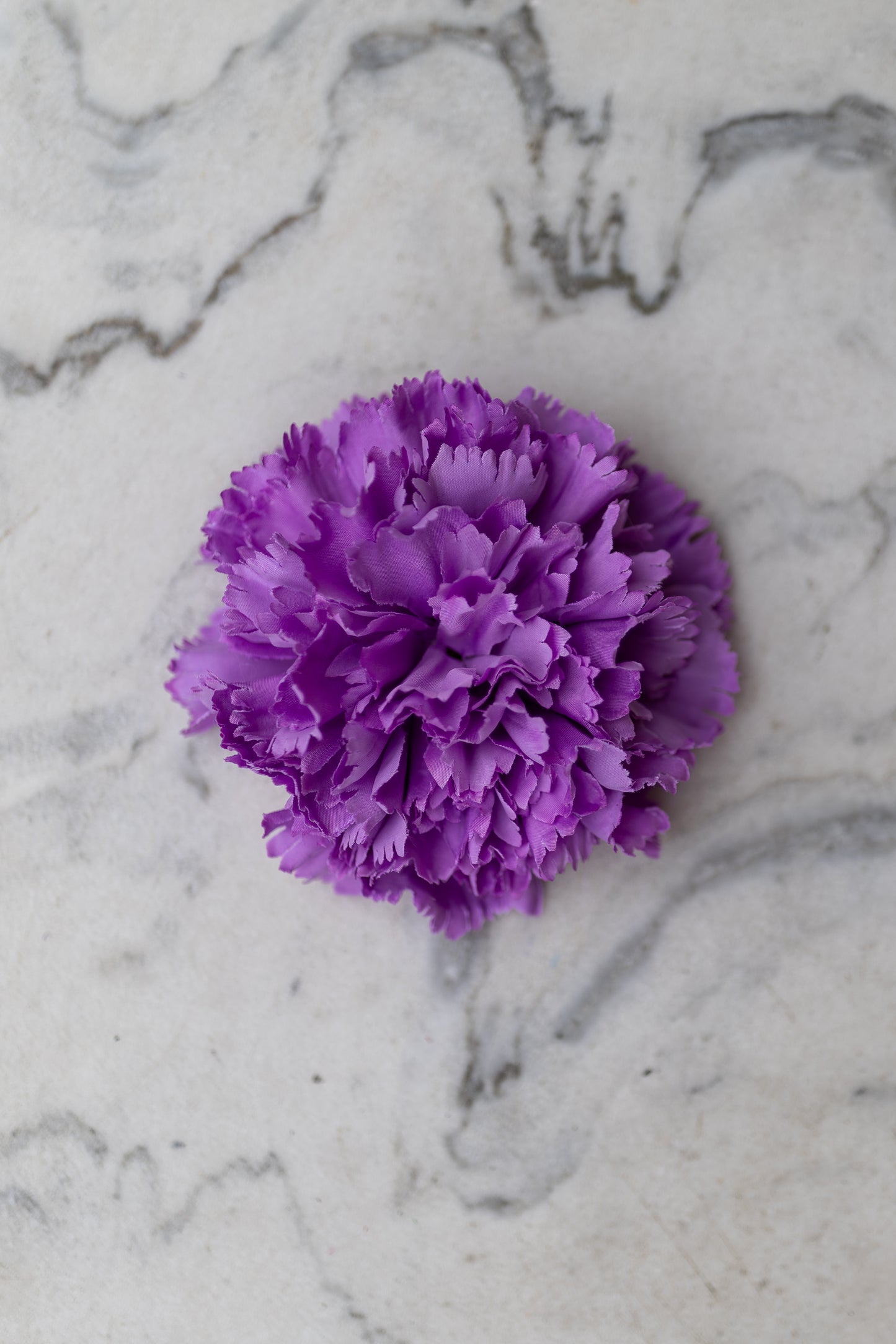 Pince Cadix Belle Époque