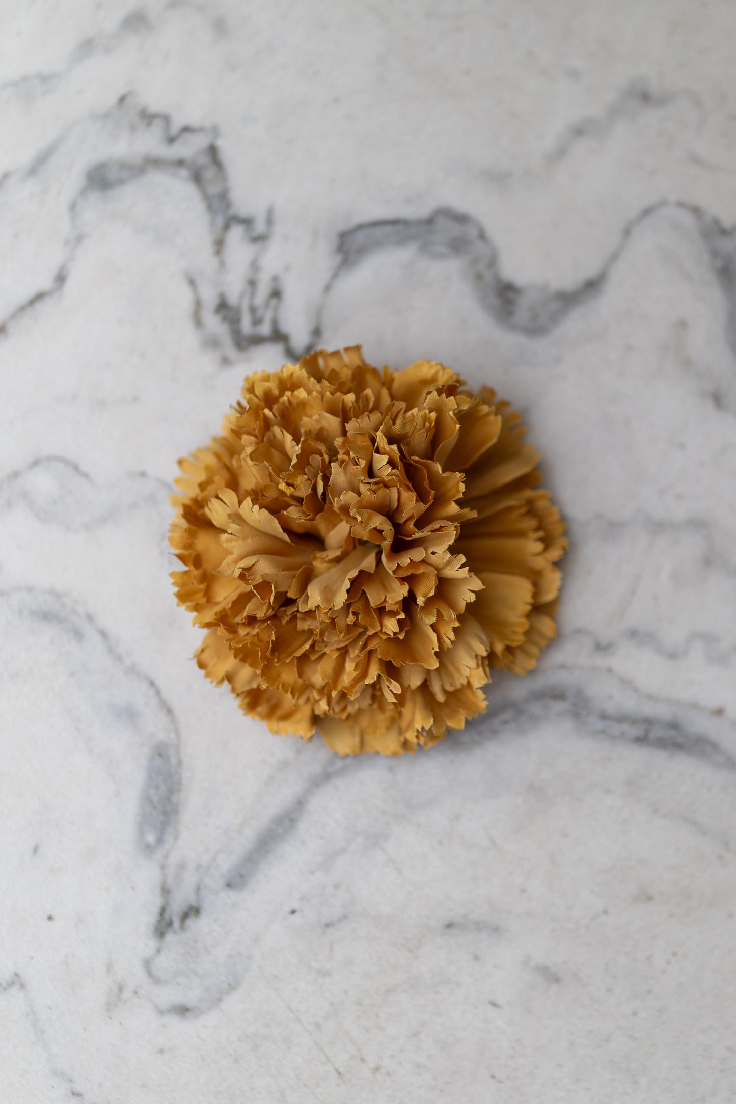 Pince Cadix Belle Époque